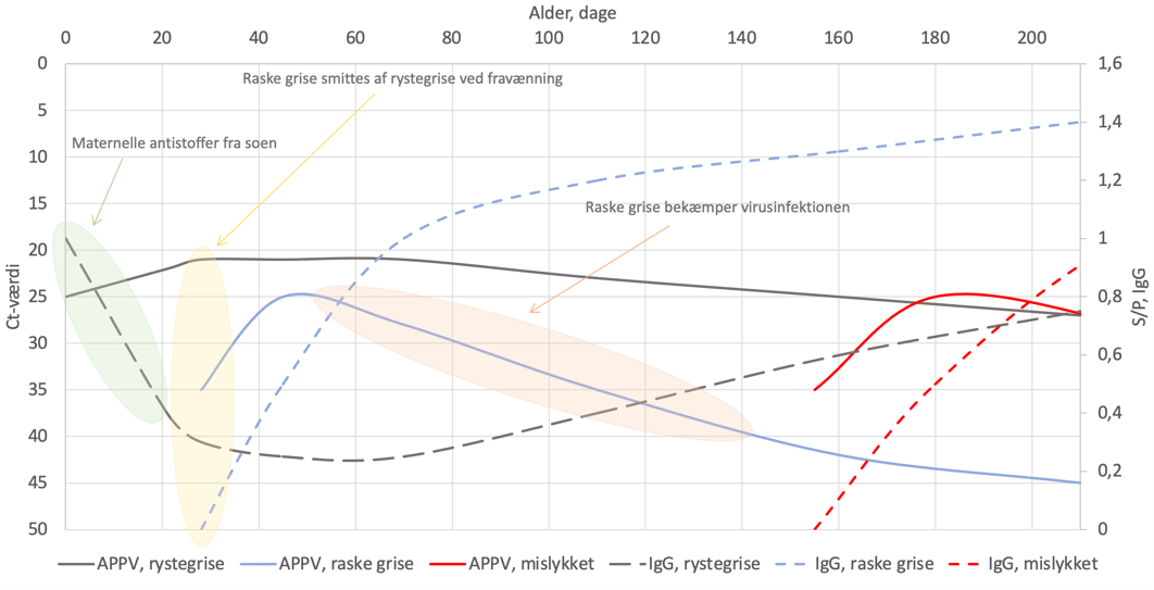 APPV graf